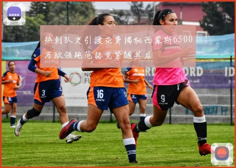 热刺队史引援花费揭秘西蒙斯6500万欧领跑范赫克紧随其后